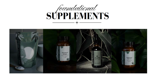 Wild + Well-Fed: Foundational Foods & Supplements