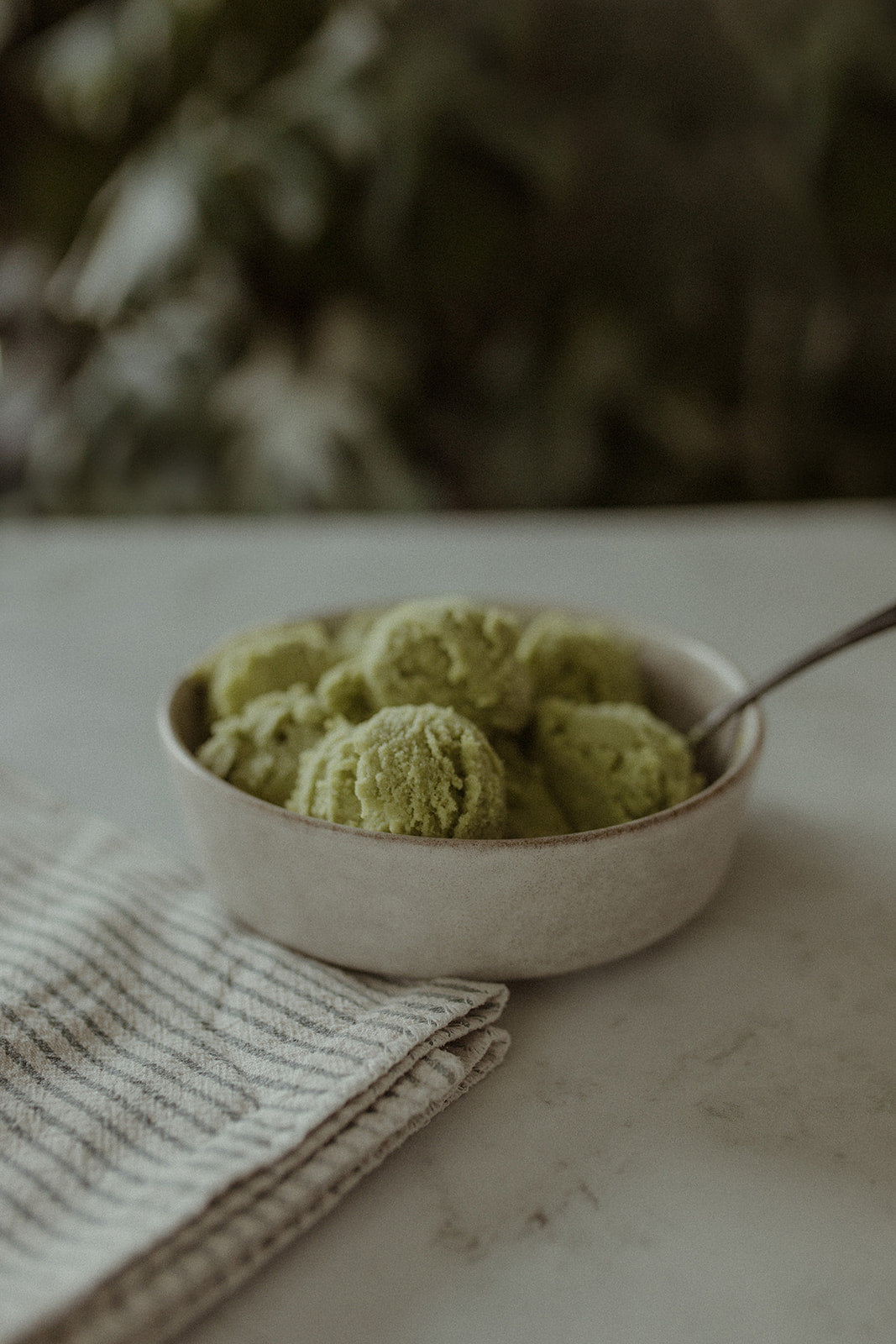 Wild+Well-Fed | Organic Ceremonial Grade Matcha – Wild + Well-Fed