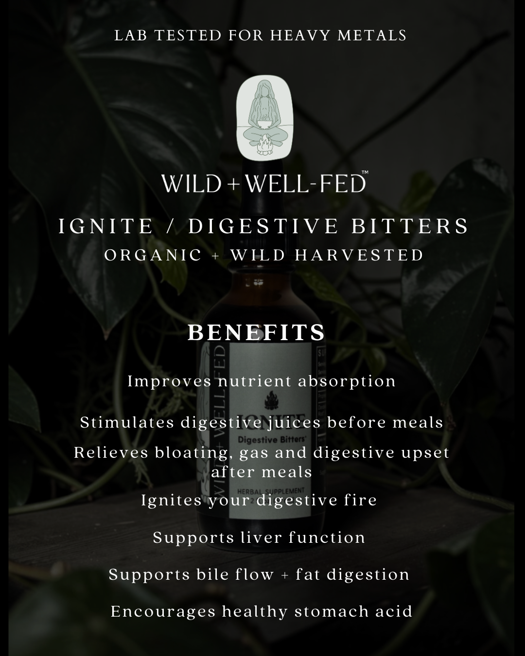 Promotional image of Wild + Well Fed digestive bitters with benefits listed on a dark background.