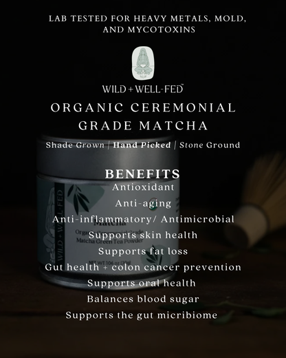 Matcha powder container with health benefits listed on a dark background