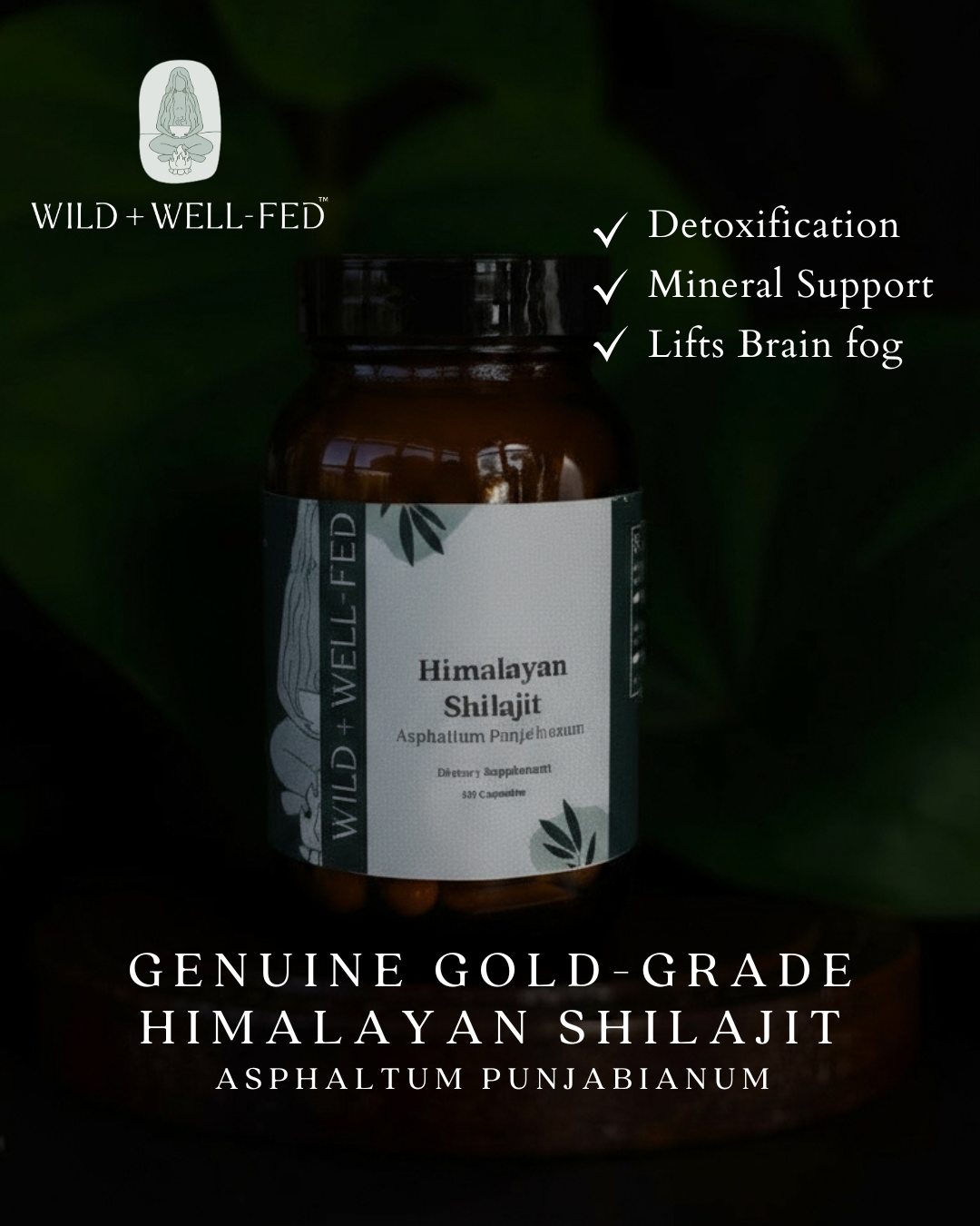 Bottle of Himalayan Shilajit with label and text on a dark background