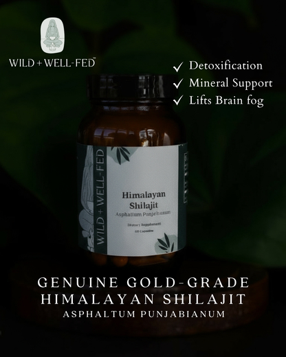 Bottle of Himalayan Shilajit with label and text on a dark background