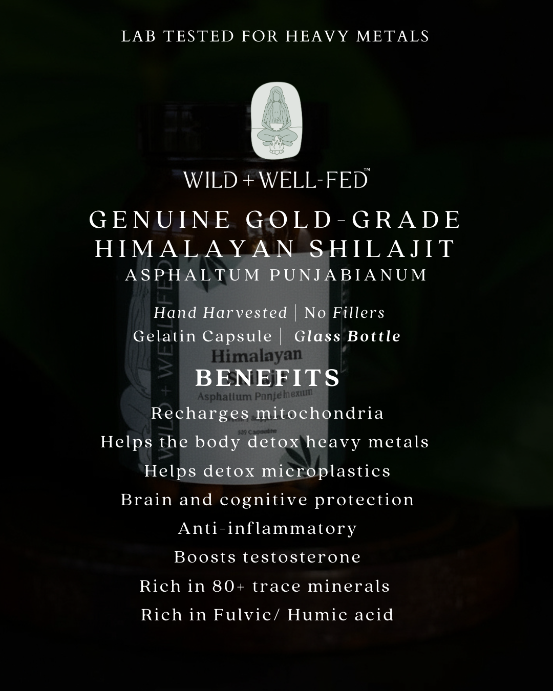 Himalayan Shilajit product packaging with text on a dark background