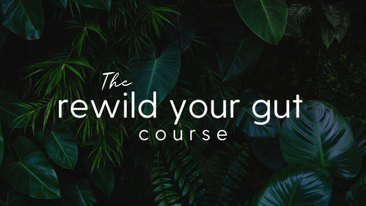 Rewild Your Gut Course